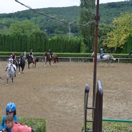 Petneházy Lovaspark kép 299