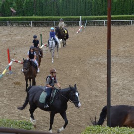 Petneházy Lovaspark kép 297