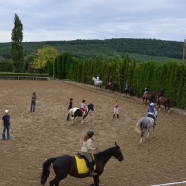 Petneházy Lovaspark kép 296