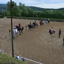 Petneházy Lovaspark kép 295