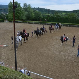 Petneházy Lovaspark kép 295