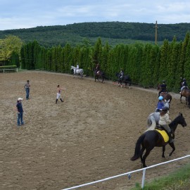 Petneházy Lovaspark kép 280