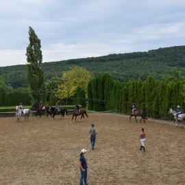 Petneházy Lovaspark kép 279