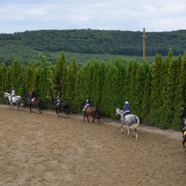 Petneházy Lovaspark kép 278