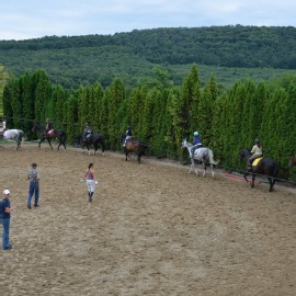 Petneházy Lovaspark kép 277