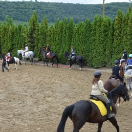 Petneházy Lovaspark kép 270