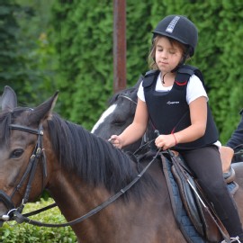 Petneházy Lovaspark kép 245