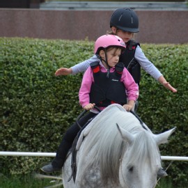 Petneházy Lovaspark kép 199