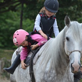 Petneházy Lovaspark kép 197