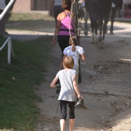 Petneházy Lovaspark kép 108