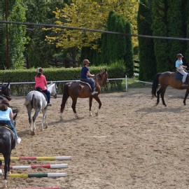 Petneházy Lovaspark kép 92