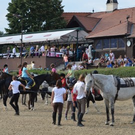 Petneházy Lovaspark kép 85