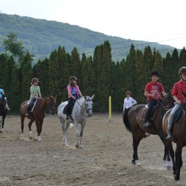 Petneházy Lovaspark kép 84