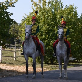 Petneházy Lovaspark kép 77