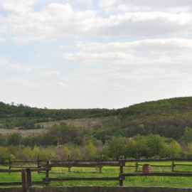 Petneházy Lovaspark kép 71