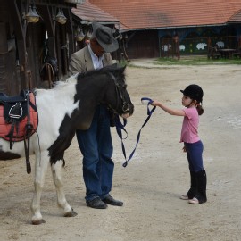 Petneházy Lovaspark kép 69