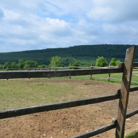 Petneházy Lovaspark kép 62