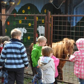 Petneházy Lovaspark kép 21