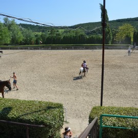 Petneházy Lovaspark kép 19