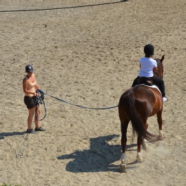 Petneházy Lovaspark kép 18