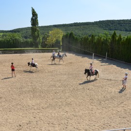 Petneházy Lovaspark kép 14