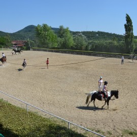 Petneházy Lovaspark kép 12