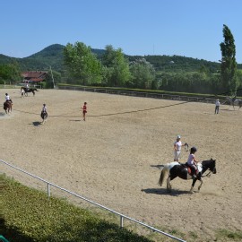 Petneházy Lovaspark kép 11