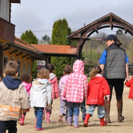 Petneházy Lovaspark kép 10