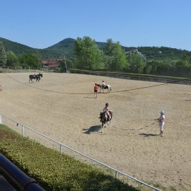 Petneházy Lovaspark kép 9